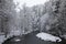 Wonderful winter scene. Frosty, misty morning on the small river. frost covered trees in the warm glow of sunrise. The beauty of t