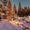 Wonderful Winter Sunset. Majestic Sunny Landscape. Wintry forest under Sunlight. Picture of wild area. Scenic image of fairy-tale