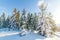 Wonderful wintery Scenery in sunny day. Winter landscape with snow capped mountain under sunlight. Popular hiking and