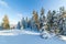 Wonderful wintery Scenery in sunny day. Winter landscape with snow capped mountain under sunlight. Popular hiking and