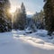 Wonderful wintry landscape. Winter mountain forest. frosty trees under warm sunlight. picturesque nature scenery. creative