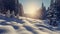 Wonderful wintry landscape. Winter mountain forest. frosty trees under warm sunlight. picturesque nature scenery. creative