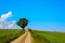 Wonderfull Landscape with blue sky an clouds