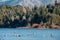 Wonderfull natural landscape, lake and mountains in Bariloche Arg