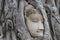 Wonders of nature,The Head of The Sandstone Buddha image in tree roots
