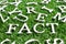 Wood alphabet in wording fact on artificial green grass