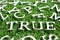 Wood alphabet in wording true on artificial green grass background