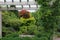 A wood arbor and bench in a forest setting with vines, peturnias, evergreens and deciduous shrubs