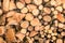 Wood Background - Ecological wooden pattern