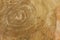 Wood background or texture