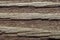 Wood background with worn weathered texture