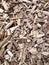 Wood Bark Chippings