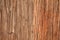 Wood bark detail