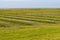 Wood barrier for land reclamation in the wadden sea, north sea Germany