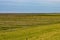 Wood barrier for land reclamation in the wadden sea, north sea Germany