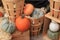 Wood baskets and crates with several sizes, shapes and varieties of pumpkins and squash