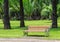 Wood Bench with Alloy Structure in Palm Garden