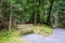 Wood bench in forest