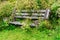 Wood bench overgrown with plants