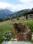 Wood bench to form of hand in Val of Suza in Italy.