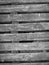 Wood bench in the yard black and white wood texture background