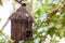 Wood birdhouse in the forest