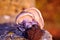 Wood blewit Clitocybe nuda or Lepista nuda mushrooms, laying picked on blurry background