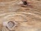 Wood board surface weathered by sea water background, texture,