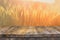 Wood board table in front of field of wheat on sunset light. Ready for product display montages