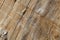 Wood board texture macro photo. Brown timber with weathered cracks. Natural background for vintage design.