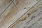 Wood board texture photo. Brown timber with weathered crack lines. Natural background for vintage design.