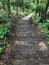 Wood boards and stone step path on hill at county park