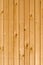 Wood boards texture with nail-head