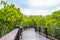 Wood boardwalk between Mangrove forest and blue sky ,Study natural trails,aerial view