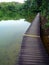 Wood boardwalk in nature reserve