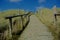 Wood Boardwalk through sand dunes