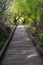 Wood boardwalk under weeping willow tree with spring growth, Juanita Bay Park, Kirkland, WA