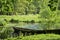 Wood boat is landing near the shore of the pond. Lush foliage are reflected in the calm water surface