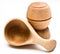 Wood Bowl and Scoop