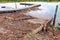 Wood Branch Debris and Trash after a River Flood