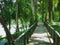 Wood bridge forest at Khaolak-Lumru National Park Phang-nga, Thailand