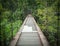 Wood bridge gateway in forest