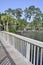 Wood bridge by a lagoon