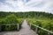 Wood Bridge Mangrove forest walkway