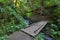 Wood Bridge Over Wahkeena Creek Hiking Trail