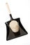 Wood briquette on dustpan