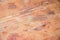 Wood burl gnarl redwood pine brown board