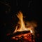 Wood is burning in fire. Fire for bushcraft and tourism