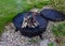 Wood is burning  in a metal fire bowl. Used for cooking,   warming up on a cold evening in the open air