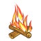 Wood campfire icon, cartoon style